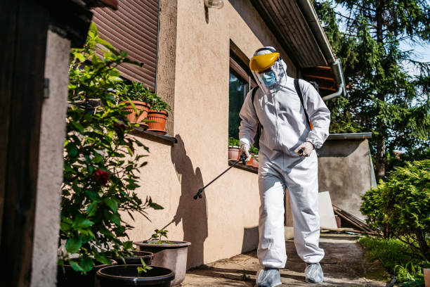 Pest Prevention Services in Salina, KS