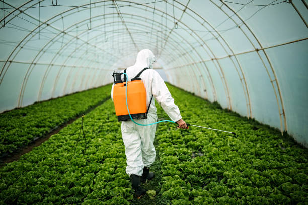 Best Mosquito Control Services  in Salina, KS