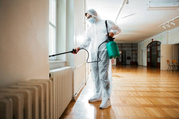 Reliable Salina, KS Pest Control Solutions