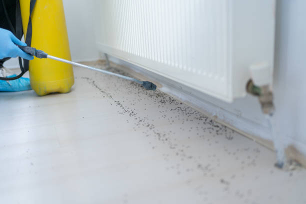 Best Affordable Pest Control Services  in Salina, KS